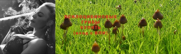 ALPHA PVP Зерноград