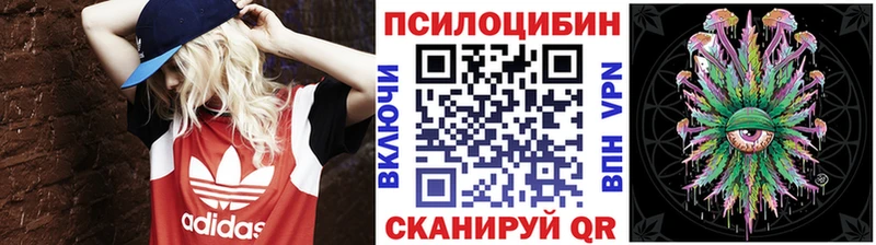 Галлюциногенные грибы мицелий  Купить закладки  Красноармейск 